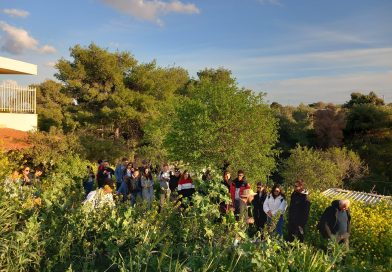 „Nature at intervals, air, water and land with interruptions” – studenci dziennikarstwa KUL ponownie w Grecji